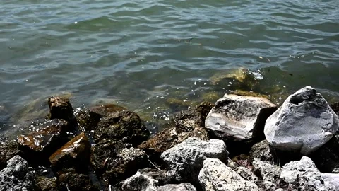 7360RocksWaterSlowpeed Stock Footage 345360910