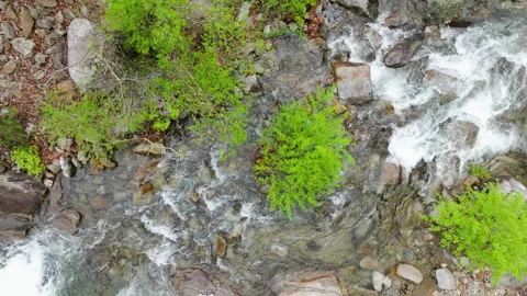 74. Flow of Winter Valley, Drone Video, South Korea Stock Footage 303786971