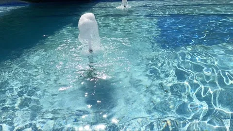 74_fountans Stock Footage 308328084