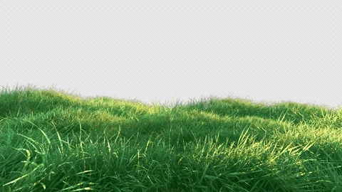 75 grass fast v01 Stock Footage 264796758