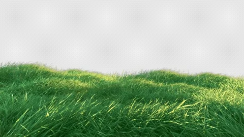 75 grass slow v01 Stock Footage 264796688