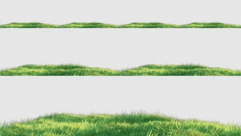 75 grass slow v05 all Stock Footage 264796690