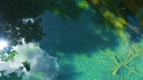 7737 Video stock 124257117