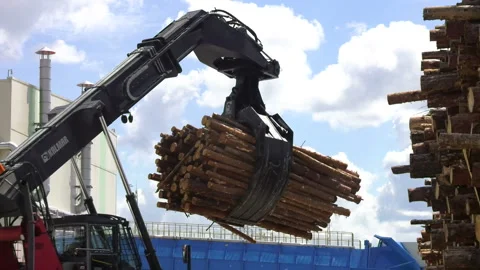 78. Loading equipment for logging. Log loader for timber, logs. Stock Footage 93043639