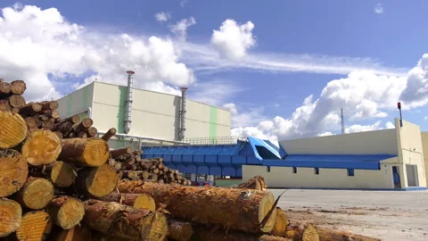 79. Loading equipment for logging. Log loader for timber, logs. Stock Footage 93043794