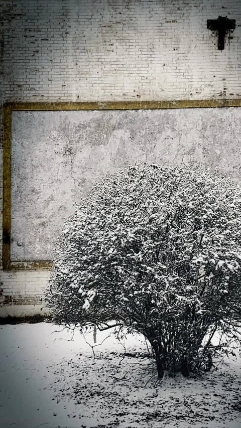 798snow scene-Vertical screen 01 Stock Footage 233548462