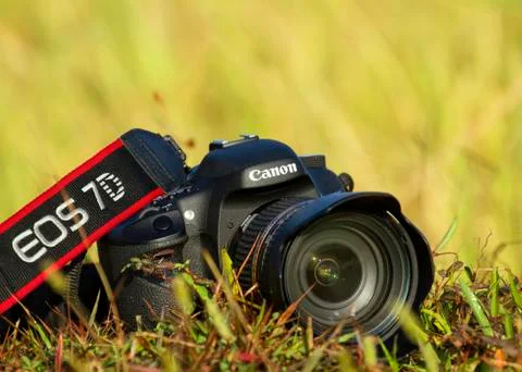 7D in the Field Foto stock