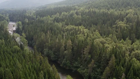 7Z 30 Stock Footage 116251469