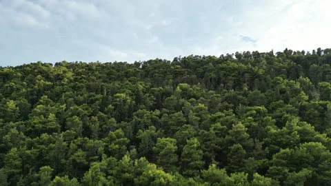 7Z DJI 0269 Stock Footage 248071010