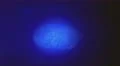 8 in 1 video! Finger makes fingerprint with criminal identification of fingerpri 4k or 4k+ Resolution