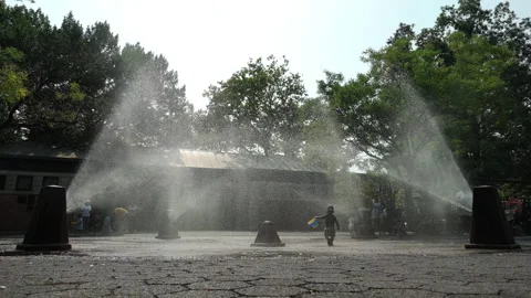 8-11-26, Brooklyn, NY, USA - slomo summer boy with pail plays in sprinklers Stock Footage 341898783