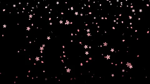 8-bit retro game style cherry blossom animation wallpaper (black background) Stock Footage 311031282