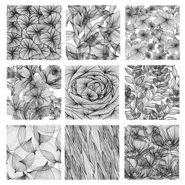 8 elegant floral seamless patterns and one rose flower close up, design elements Stock Illustration