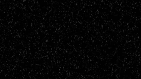 8. Falling White Snow Overlay on Black Background. Winter Holiday Effect Stock Footage 317325031