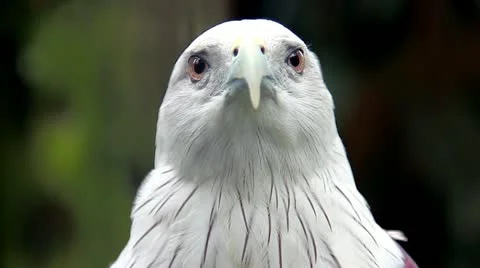 8 Stock Footage 10834574