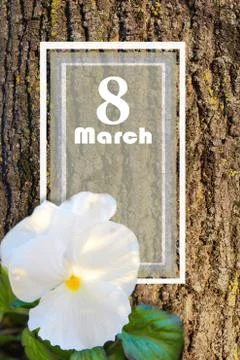 8 march background Stock Photos