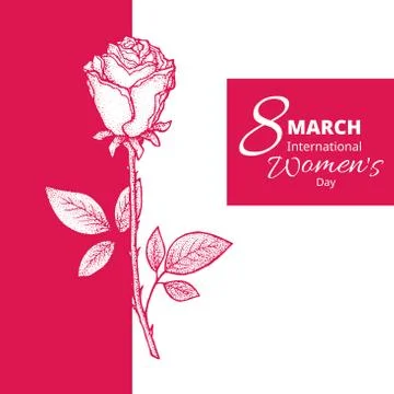8 march card Stock Illustration