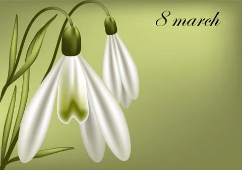 8 march card Stock Illustration
