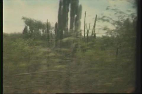 8 mm - road trip Stock Footage 546590