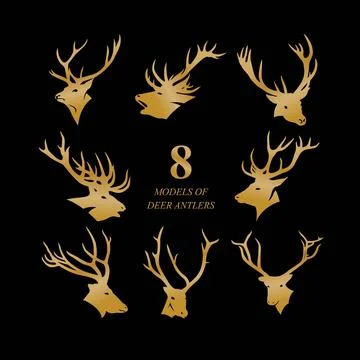 8 models of deer antlers Stock Illustration