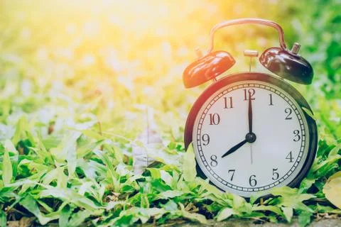 8 o'clock retro clock in the garden grass field with sun light. Stock Photos