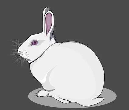 8. rabbit Stock Illustration