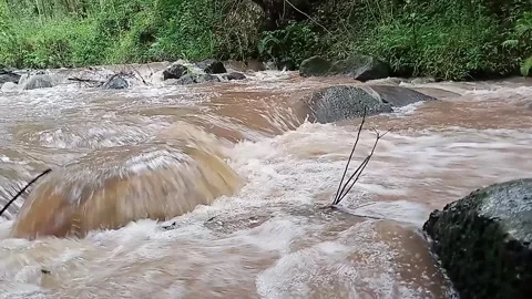 8-Second 1080p River Flowing in Nature Video stock 330253904