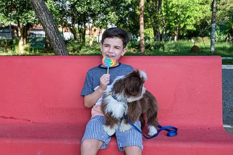 8 year old boy biting a lollipop, sitting next to his pet shih tzu. Stock Photos