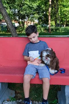 8 year old boy sitting on a concrete bench, offering his lollipop to his pet  Stock Photos