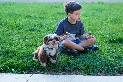 8 year old boy sitting on the lawn next to his pet, lollipop in hand and look Stock Photos