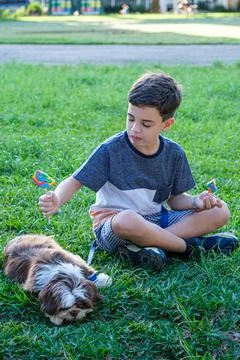 8 year old boy sitting on the lawn and offering the lollipop to his pet. Stock Photos