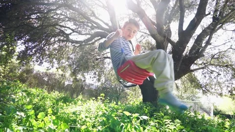 8 year old Caucasian boy swinging on a tree swing in nature Stock Footage 273786260