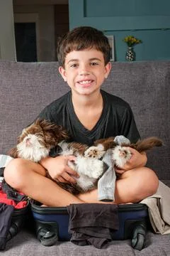 8 year old sitting on an open suitcase with a shih tzu puppy on her lap. Stock Photos