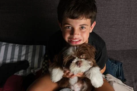 8 year old sitting on an open suitcase with a shih tzu puppy on her lap top v Stock Photos