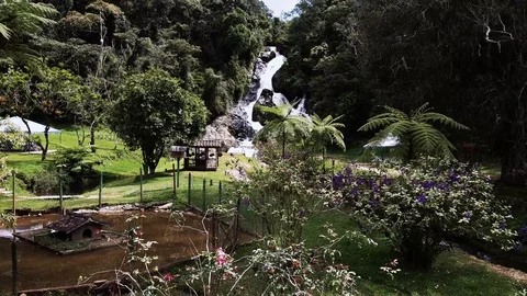 8.0 water fall from road Stock Footage 123737840