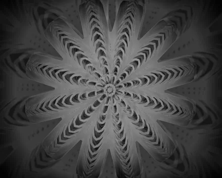 81 Stock Footage 4263424