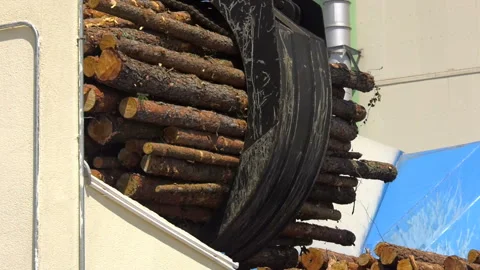 81. The log loader moves a stack of pine logs into a chopping machine. Stock Footage 93044019