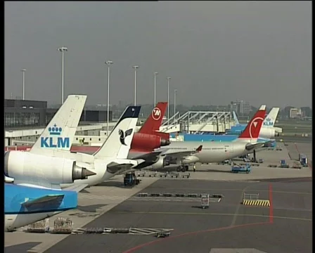 81 planes on airfield Stock Footage 371179