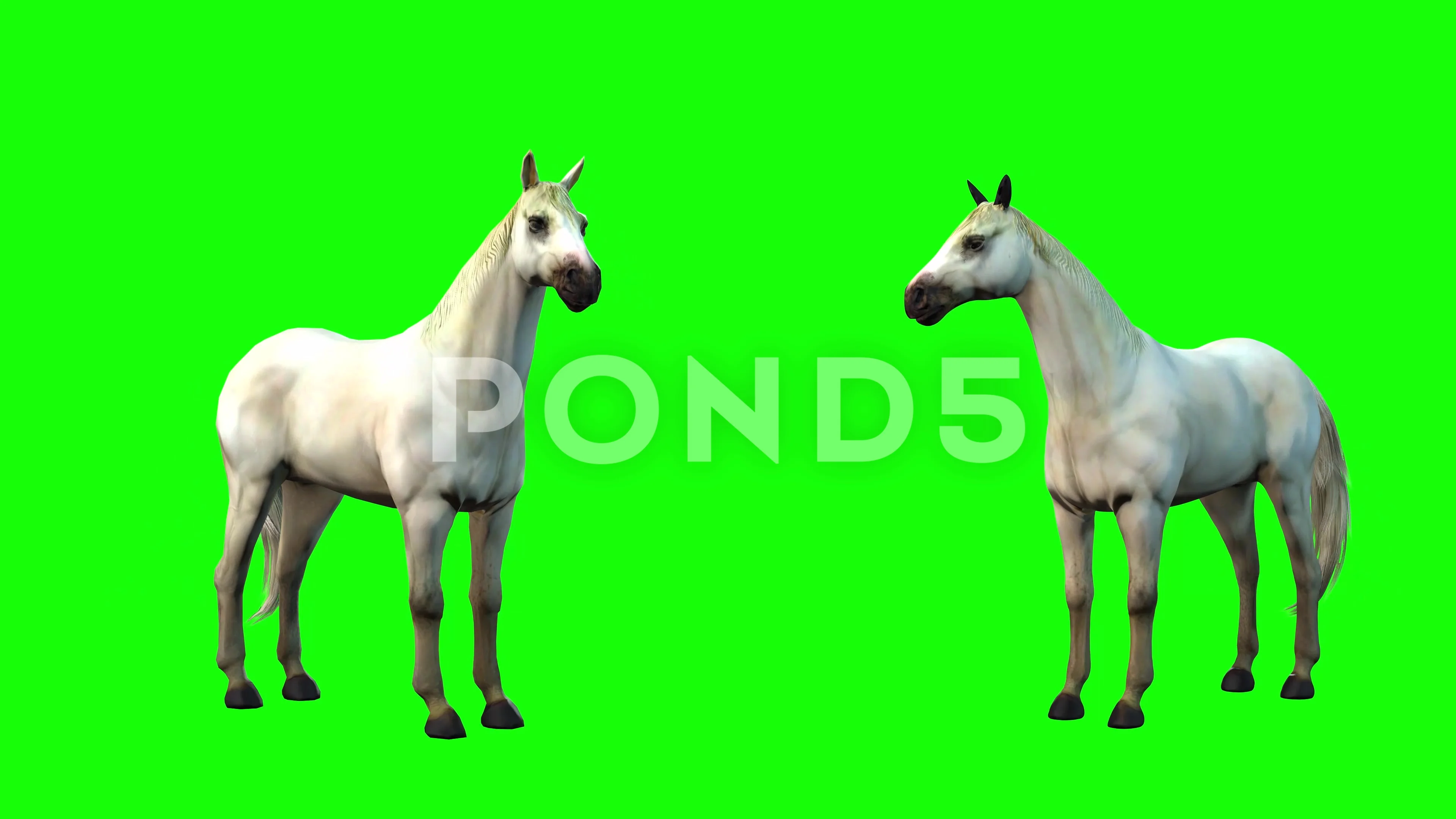 Horse 3D computer graphics Animal, horse, horse, 3D Computer