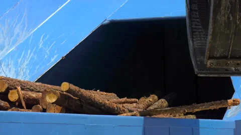 83. Loading equipment for logging. Log loader for timber, logs. Stock Footage 93044569