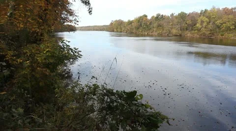 8339riverautumn Stock Footage 22174953