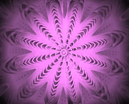 84 Stock Footage 4261978