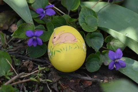 8500-colorful easter egg Stock Photos