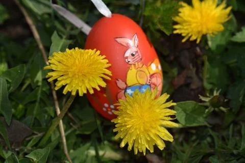 8508-colorful easter egg Stock Photos