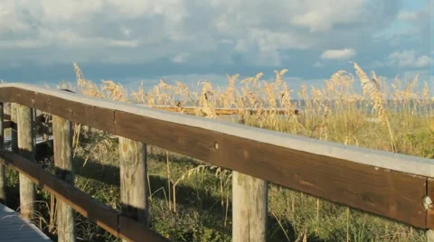 85.avi 動画素材 942408