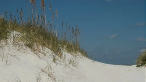 85.avi Vídeos de archivo 942419