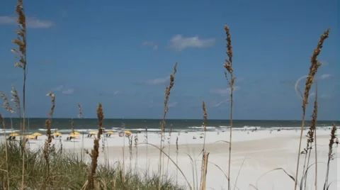 85.avi Vídeos de archivo 942424