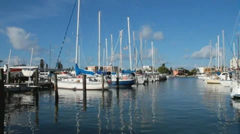 85.avi Vídeos de archivo 942439