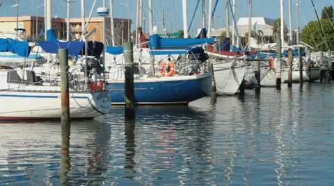 85.avi Vídeos de archivo 942448