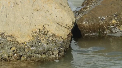 85.avi Vídeos de archivo 942464